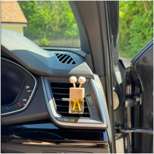 Citrus and Spice Car Diffuser