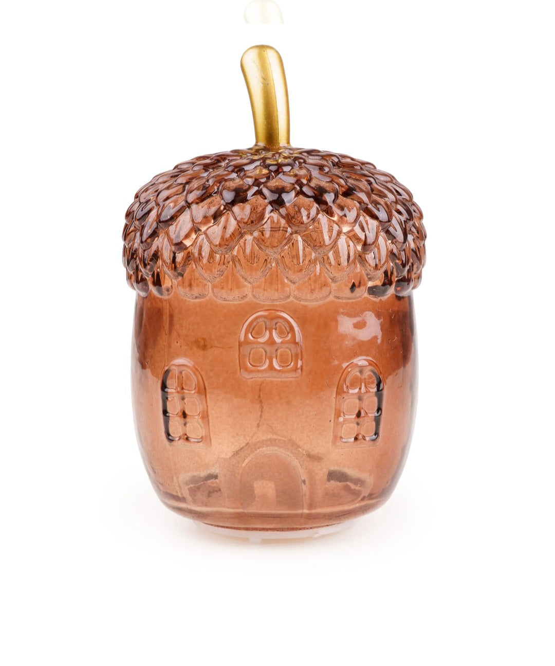 Orange Acorn Light Up House