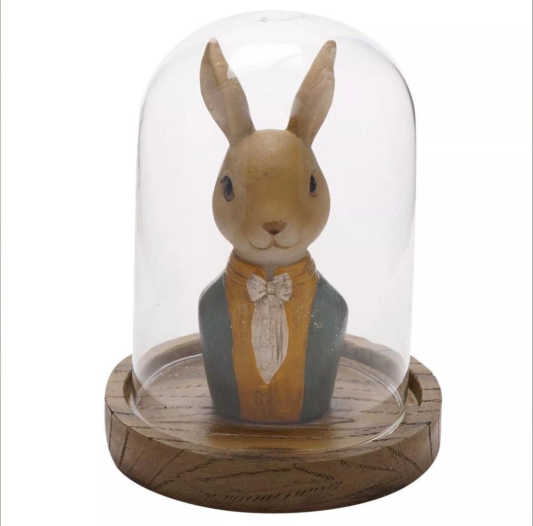 Bunny in glass Dome